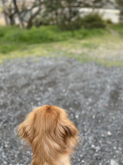 心の余裕。_a0394574_21502625.jpeg