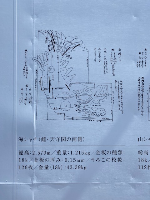 KING SYACHI_c0404676_07103306.jpg