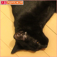 兄弟猫_a0389088_14252290.jpg