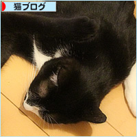 兄弟猫_a0389088_14252382.jpg