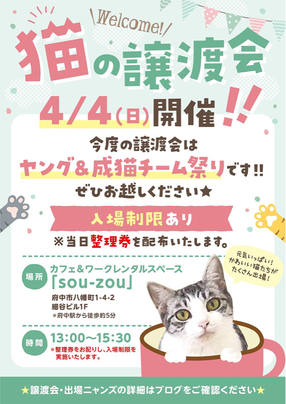 ☆4/4譲渡会出場にゃんず☆黒猫@約10ヶ月 : NPO法人 府中猫の会 ☆4/4譲渡会出場にゃんず☆黒猫@約10ヶ月 : NPO法人 府中猫の会