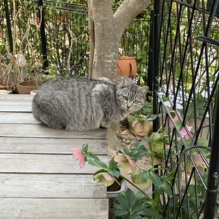 ポーチ１号_e0358096_20490096.jpeg