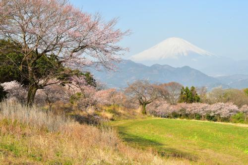 2021年3月24日 神奈川県松田町篠窪から 撮影3 18 愛川北斎 2021年3月24日 神奈川県松田町篠窪から 撮影3 18 愛川北斎