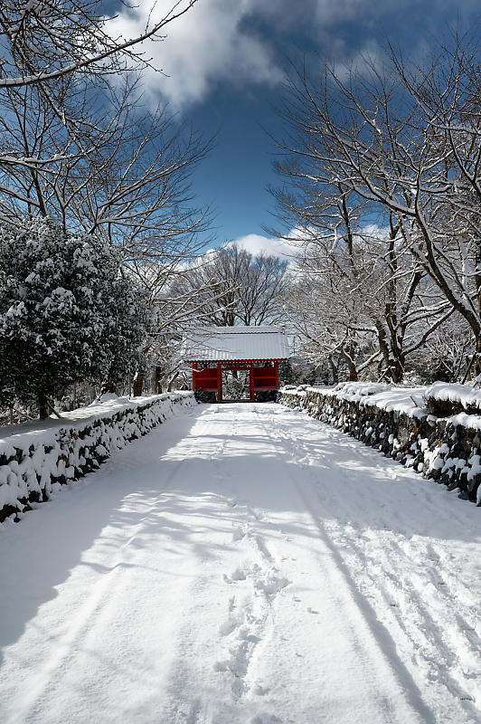 雪景色@滋賀県今津町　酒波寺_f0032011_18531987.jpg