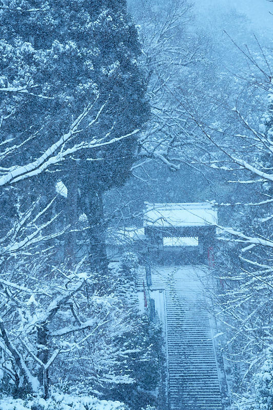 雪景色@滋賀県今津町　酒波寺_f0032011_18543431.jpg