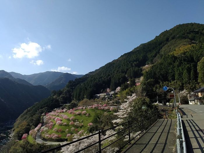Go to はいいのかしら?_c0155326_13245675.jpg