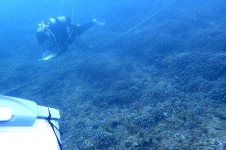 ２０．３．２４　リーフチェック（金武湾側のポイント）_b0100730_20264889.jpg