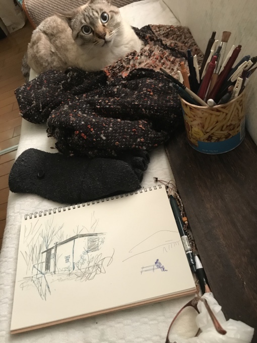 イカ耳になる猫_d0101846_16152500.jpeg