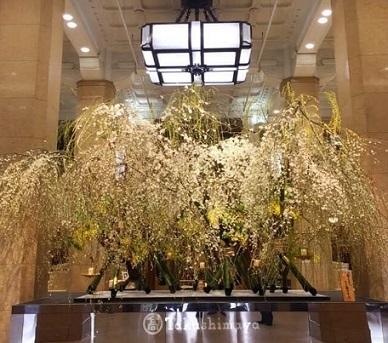 日本橋 高島屋 華のおもてなしいけばなインスタレーション Jujuの日々