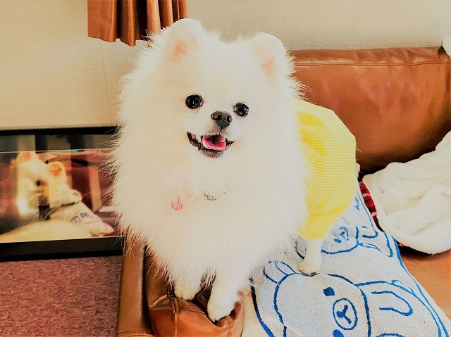 心がぽっきり_d0360206_19573677.jpg