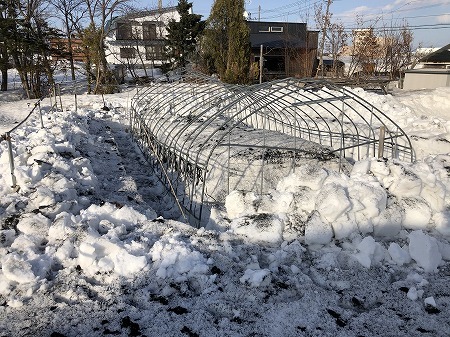 ビニールハウス救済計画・・その6、もうちょっと除雪。_d0251572_15422240.jpg