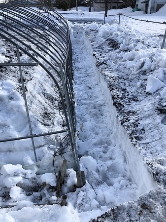 ビニールハウス救済計画・・その6、もうちょっと除雪。_d0251572_15434297.jpg