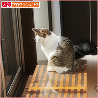猫カフェ乗っ取り店長_a0389088_18575249.jpg