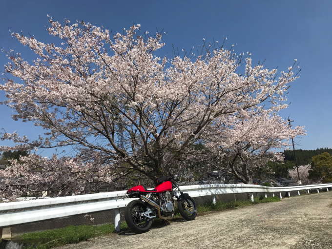 私的ブログ…春が来た！…編^_^。_d0132688_18341426.jpg