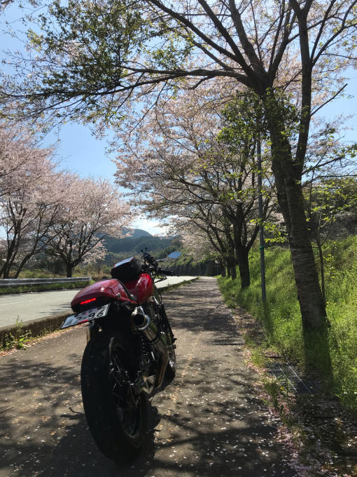 私的ブログ…春が来た！…編^_^。_d0132688_18350348.jpg
