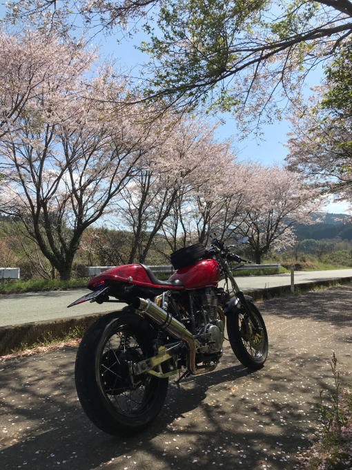 私的ブログ…春が来た！…編^_^。_d0132688_18350516.jpg