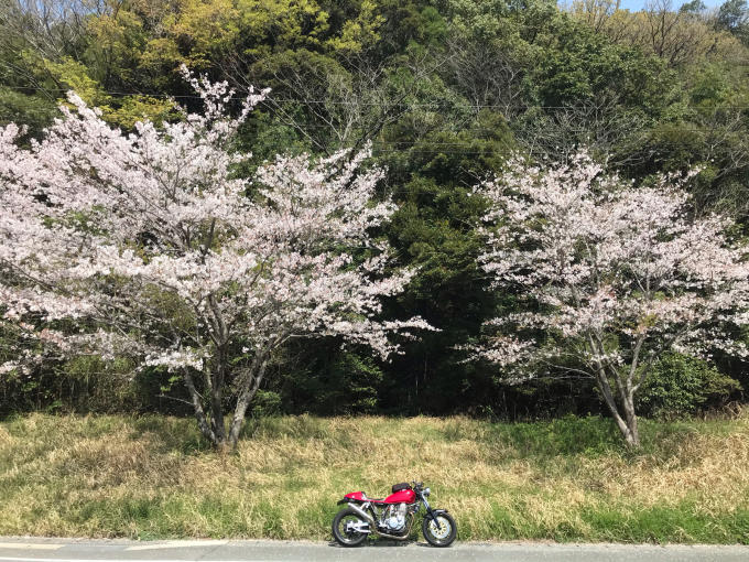 私的ブログ…春が来た！…編^_^。_d0132688_18373051.jpg