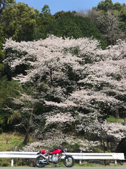 私的ブログ…春が来た！…編^_^。_d0132688_18373152.jpg