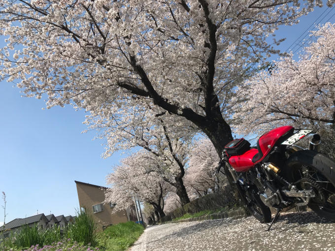 私的ブログ…春が来た！…編^_^。_d0132688_18390973.jpg