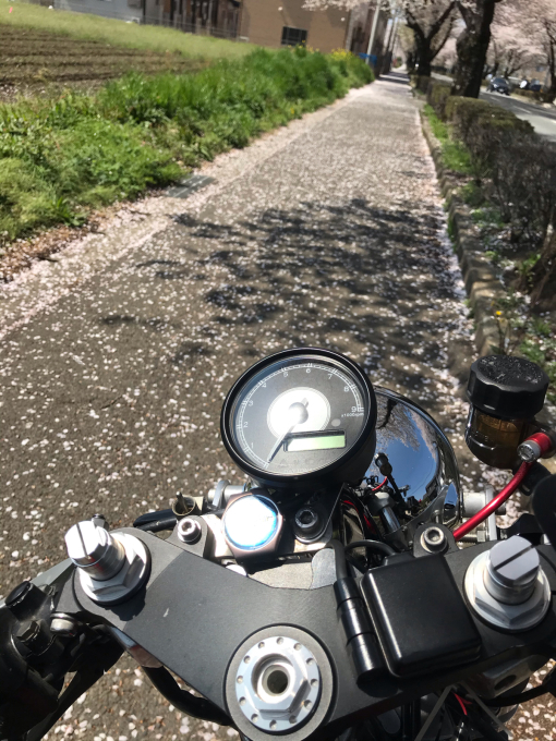 私的ブログ…春が来た！…編^_^。_d0132688_18391244.jpg