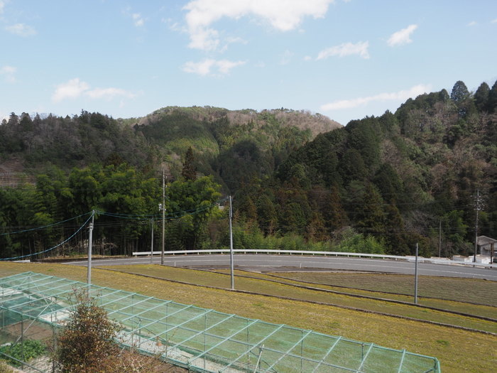 晴れた_c0116915_00025073.jpg