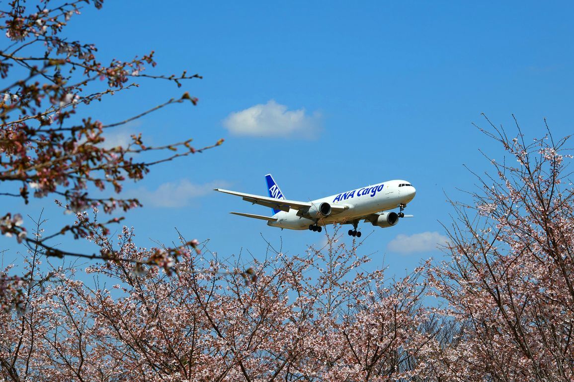 桜と絡めて飛行機を撮れる！♪　成田・さくらの山公園（エピソード＃３）_a0031821_21422494.jpg