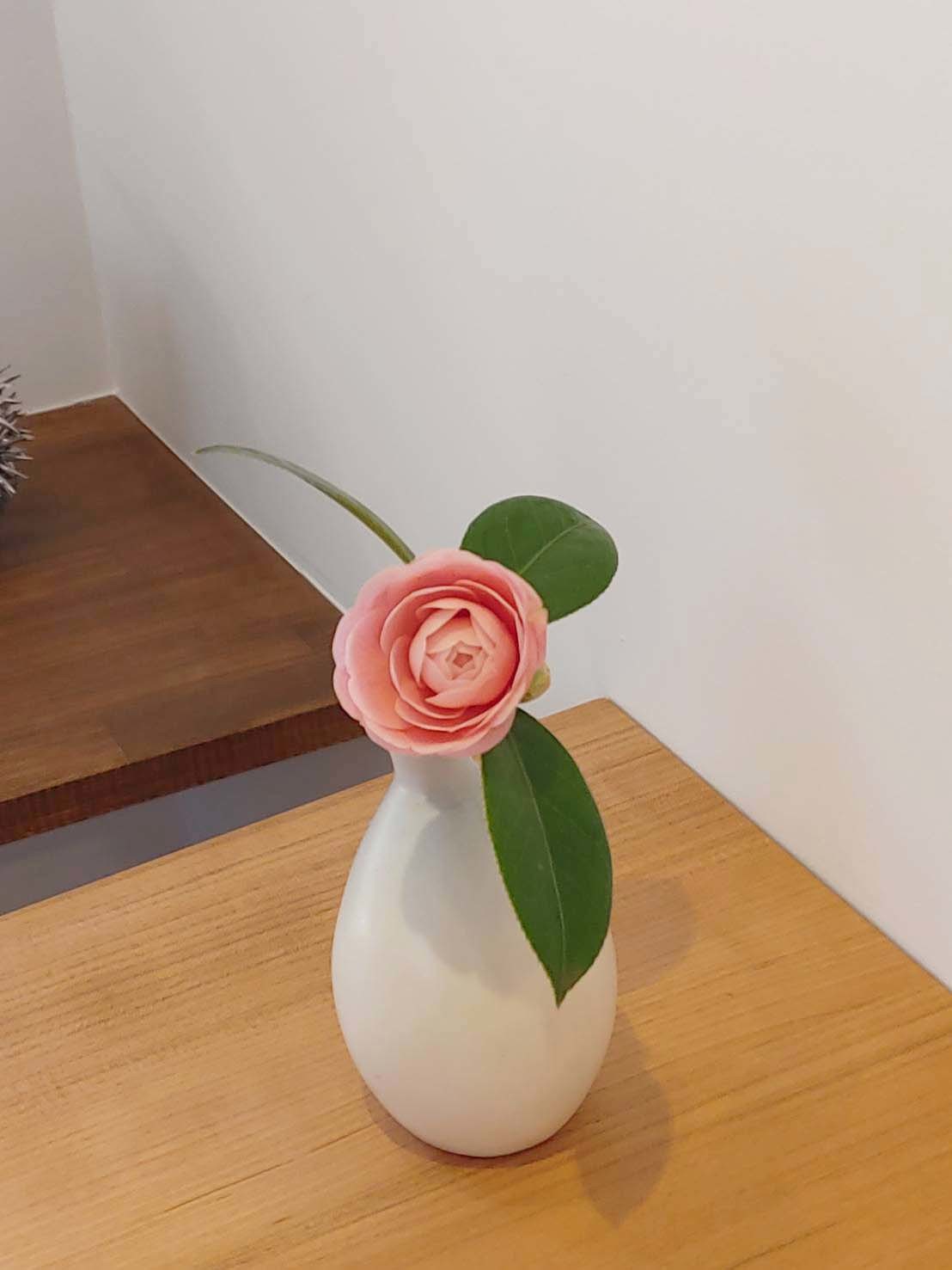 「畔（ほとり）」さんでお茶漬け食べました♪_d0377645_14215437.jpg