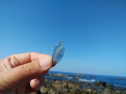 朝活浜歩き。(3月26日)_c0172261_20232527.jpg