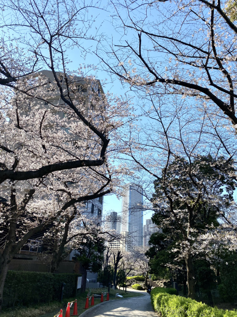 j s diary 銀座リーマン日記 j s diary 銀座リーマン日記