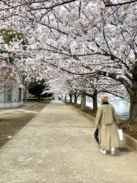 j s diary 銀座リーマン日記 j s diary 銀座リーマン日記