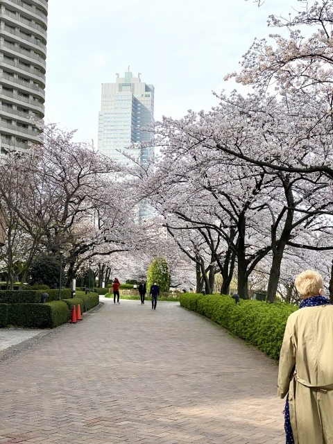 j s diary 銀座リーマン日記 j s diary 銀座リーマン日記
