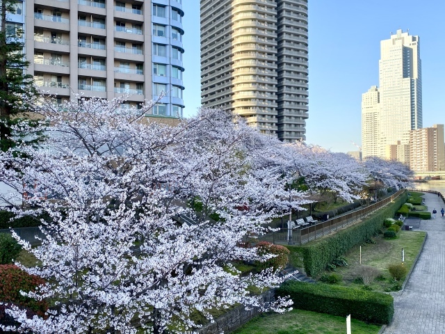 j s diary 銀座リーマン日記 j s diary 銀座リーマン日記