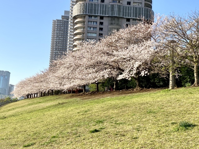 j s diary 銀座リーマン日記 j s diary 銀座リーマン日記