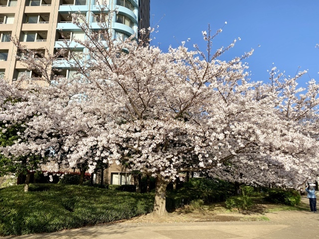 j s diary 銀座リーマン日記 j s diary 銀座リーマン日記