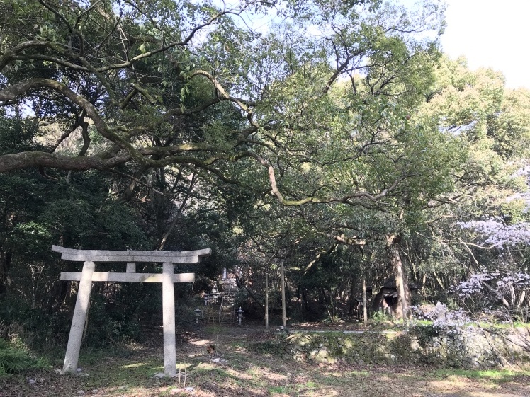 香川へ _b0034072_09585454.jpg