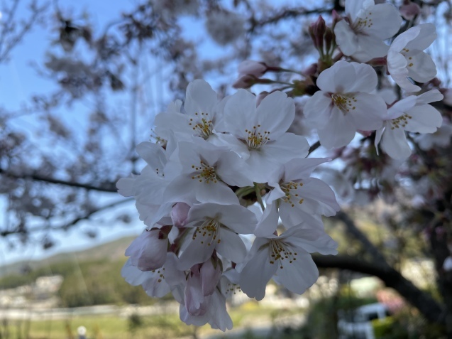 既に始まり。_a0394574_22320089.jpeg