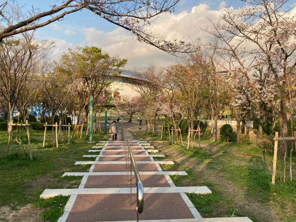 変わらず花は咲く。_a0098418_09142454.jpg
