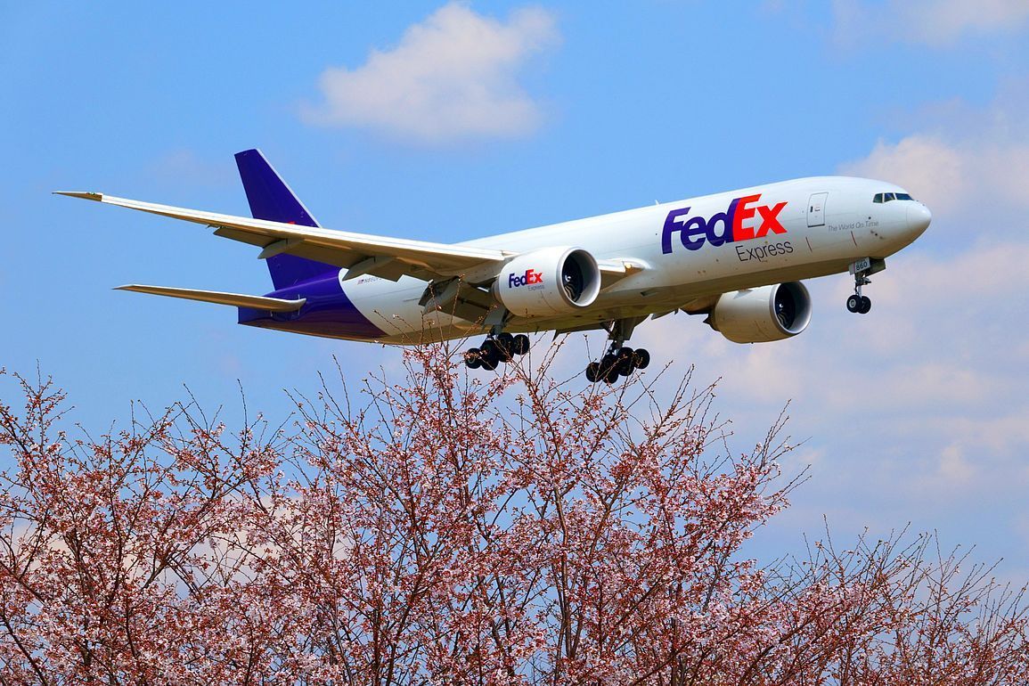 大型飛行機が直ぐ近くを飛ぶ!♪ 成田・さくらの山公園(エピソード#4)_a0031821_18070247.jpg