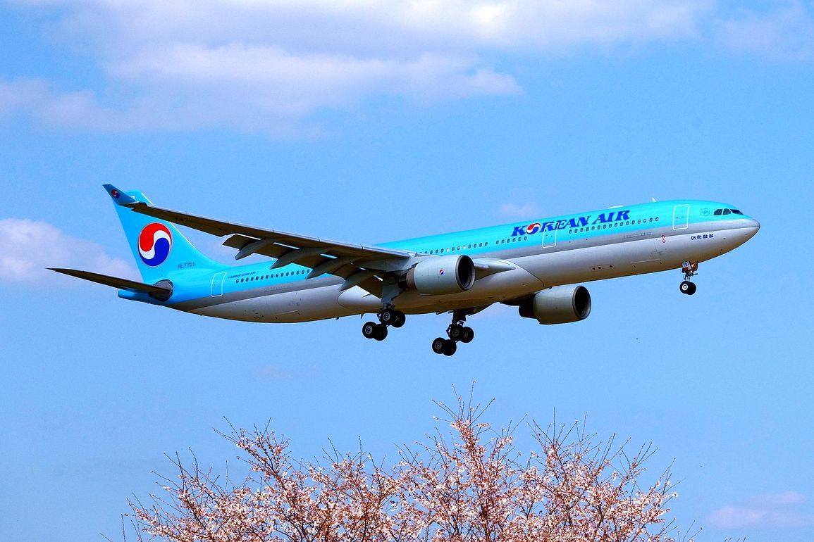 大型飛行機が直ぐ近くを飛ぶ！♪　成田・さくらの山公園（エピソード＃４）_a0031821_18091685.jpg