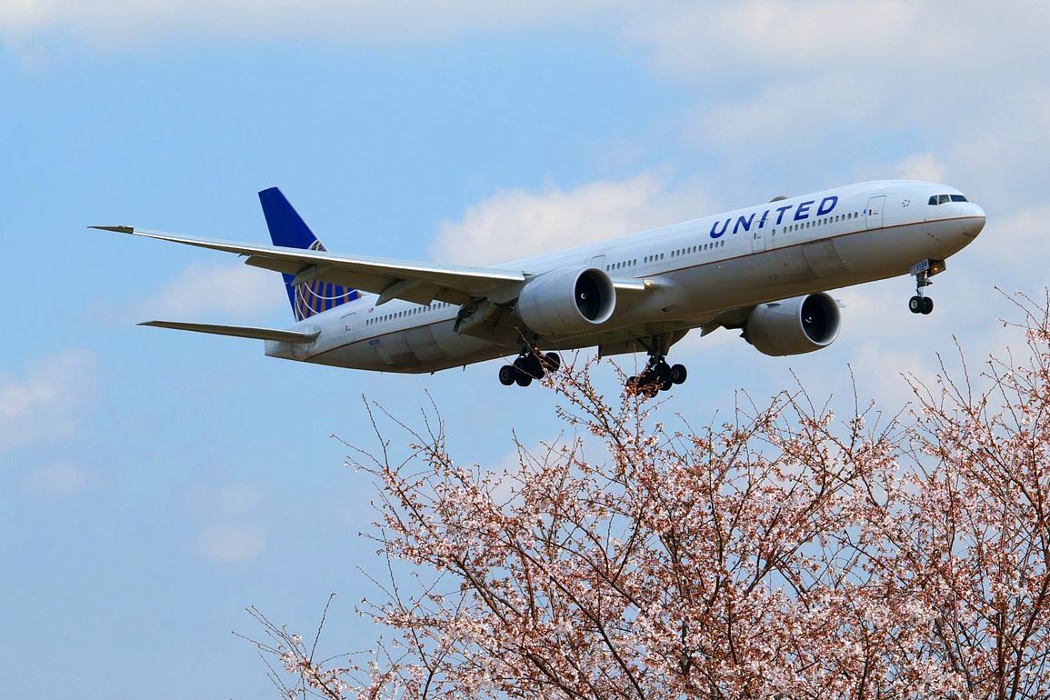 大型飛行機が直ぐ近くを飛ぶ！♪　成田・さくらの山公園（エピソード＃４）_a0031821_18150930.jpg
