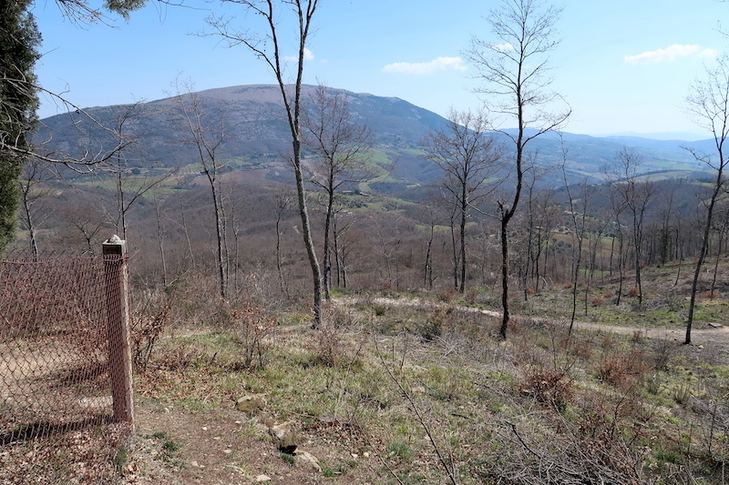 古のエトルリアの墓へと歩く春の山道_f0234936_04593127.jpg