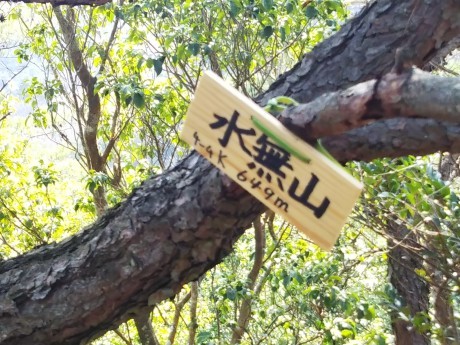 鬼ヶ島・マザーツリー_c0218841_21364344.jpg
