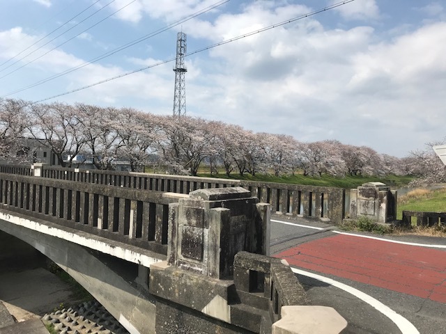 桜が咲き始めました_b0208246_10474618.jpg