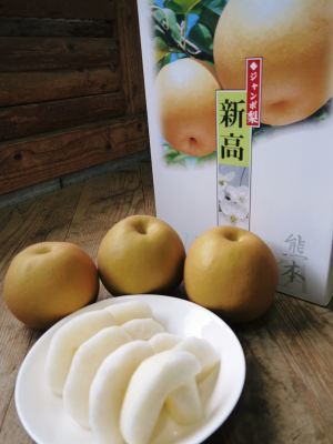 熊本梨 岩永果樹園 咲き誇る花(2021) 開花から収穫までの期間と甘さについて!_a0254656_17302047.jpg