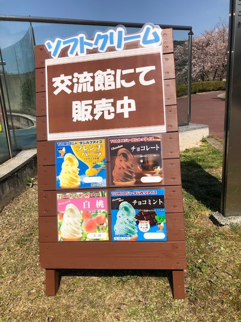 桜_d0166862_10382603.jpg