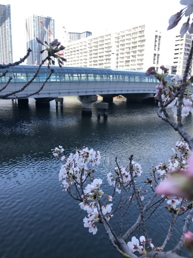 住宅相談_a0129492_09541187.jpeg