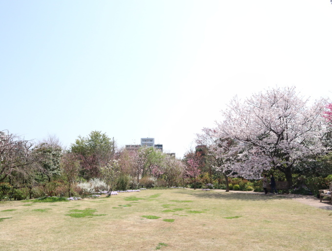 サポーター活動が始まりました。_b0331802_22395932.jpg