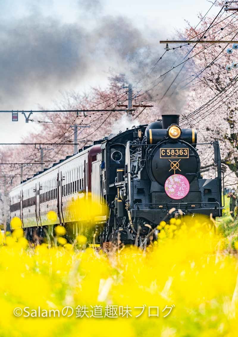 秩父鉄道SL秩父しだれ桜号_f0229311_09040166.jpg