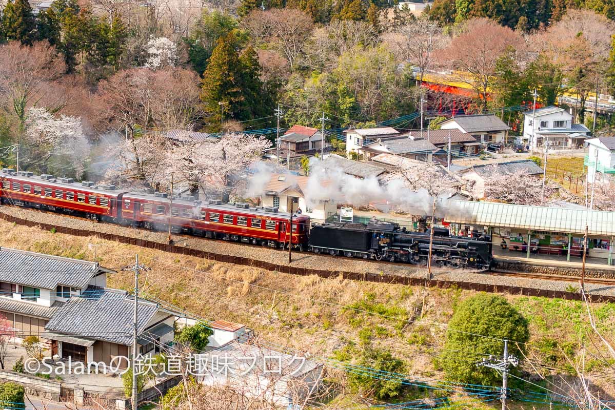 秩父鉄道SL秩父しだれ桜号_f0229311_14283165.jpg
