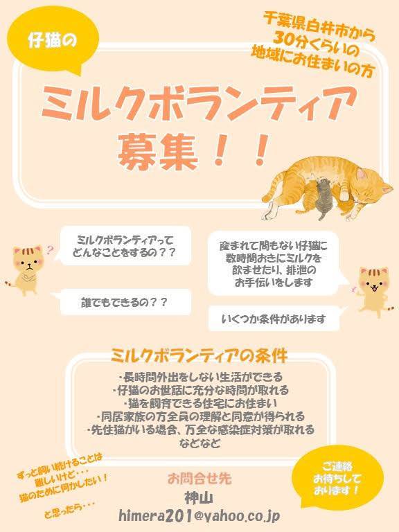 ミルクボランティア募集します ねころん ミルクボランティア募集します ねころん